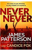 Never Never: (Harriet Blue 1)(1 Detective Harriet Blue Series)