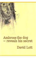 Ambrose the dog reveals his secret