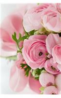 Pink Roses