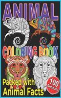 Animal Coloring Book