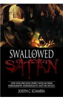 Swallowed by Satan: How Our Lord Jesus Christ Saved Me from Pornography, Homosexuality, and the Occult
