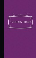 3 Column Ledger: (3 Column Ledgers)