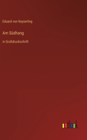 Am Südhang