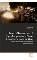Direct Observation of High-Temperature Phase transformations in Steel