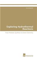 Exploring Hydrothermal Reactions