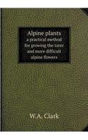 Alpine plants a practical method for growing the rarer and more difficult alpine flowers