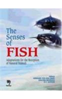 The Senses of Fish