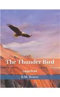 The Thunder Bird