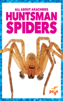 Huntsman Spiders: (All about Arachnids)