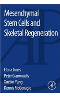 Mesenchymal Stem Cells and Skeletal Regeneration