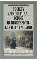 Society and Cultural Forms in the Nineteenth Century