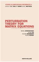 Perturbation Theory for Matrix Equations