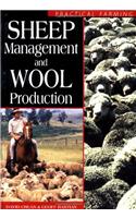 Sheep Management And Wool Production