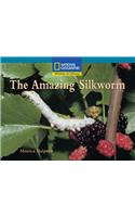 Windows on Literacy Fluent Plus (Science: Life Science): The Amazing Silkworm