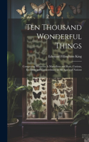 Ten Thousand Wonderful Things