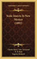 Scale Insects In New Mexico (1892)