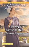 A Perfect Amish Match
