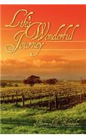 Life's Wonderful Journey