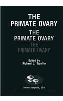 Primate Ovary