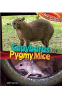 Capybaras and Pygmy Mice: (Big Animals, Small Animals)