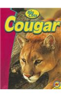 Cougar