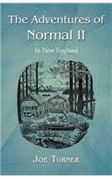 The Adventures of Normal II