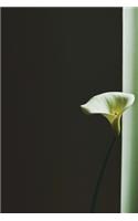 White Calla Lily Journal