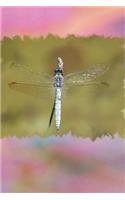 Dragonfly: JOURNAL LOG DOODLE SKETCH DRAWING NOTE BOOK NO LINES UNRULED 6" x 9" 186 PAGES