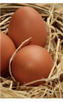 Three Chicken Eggs in a Nest Journal: Take Notes, Write Down Memories in this 150 Page Lined Journal