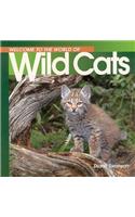 Welcome to the World of Wild Cats