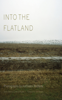 Into the Flatland