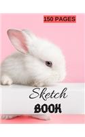 Sketch Book