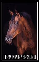 Terminplaner 2020: Jahresplaner von September 2019 bis Dezember 2020 mit Pferd - Planer mit 174 Seiten in weiß im Format A5 mit glänzendem Soft Cover.
