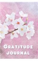 Gratitude Journal: 100 pages - 6 x 9 - Notebook - Journal - Blossom