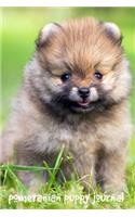 Pomeranian Puppy Journal: 6 x 9 inch dog notebook, dot grid journal, 200 pages