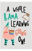 A Whole Llama Learning Going on