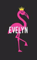 Evelyn's Notebook