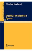 Weakly Semialgebraic Spaces