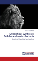 Mycorrhizal Symbiosis