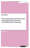 Meeresspiegelanstieg und Küstenerosion. Anpassungsstrategien gegenüber Gezeitenhochwasser in Semarang