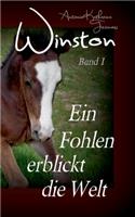 Winston - Ein Fohlen erblickt die Welt: Pferdebuchserie in drei Bänden