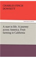 Start in Life. a Journey Across America. Fruit Farming in California