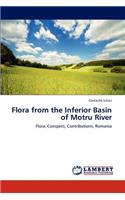 Flora from the Inferior Basin of Motru River