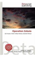 Operation Zalzala