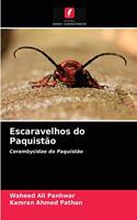 Escaravelhos do Paquistão
