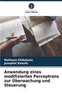 Anwendung eines modifizierten Perceptrons zur Überwachung und Steuerung