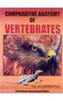 Comparative Anatomy Of Vertebrates