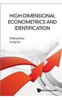 High-Dimensional Econometrics and Identification