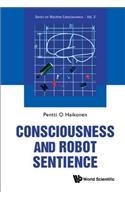 Consciousness And Robot Sentience