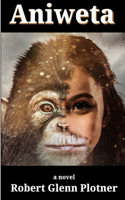 Aniweta
